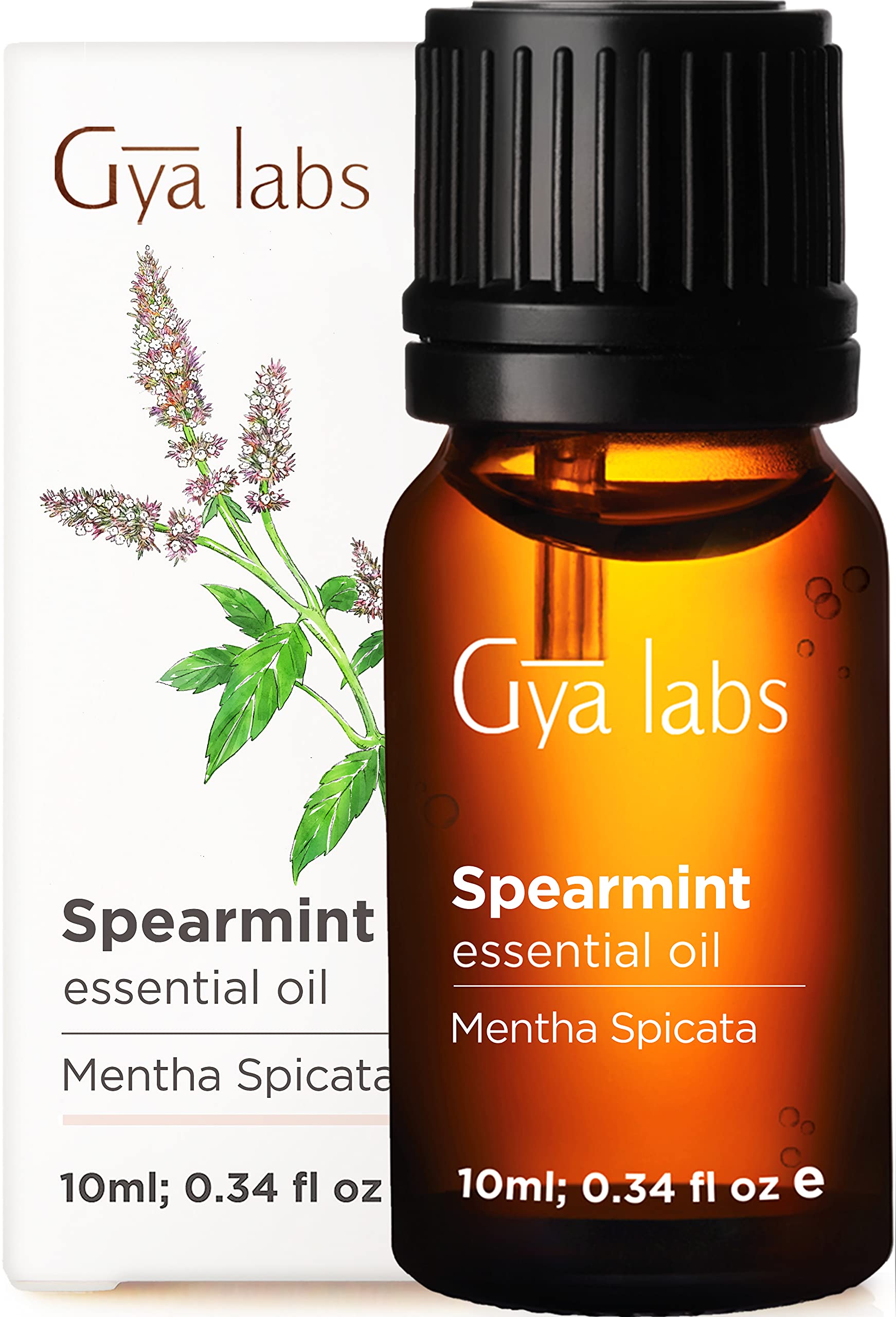 Gya Labs Spearmint Essential Oil for Diffuser - Spearmint Oil for Skin - Spearmint Oil Facial Hair, Scented, Bath Bombs, Massage, Aromatherapy, Candles & Soaps - 100% Natural (10ml)