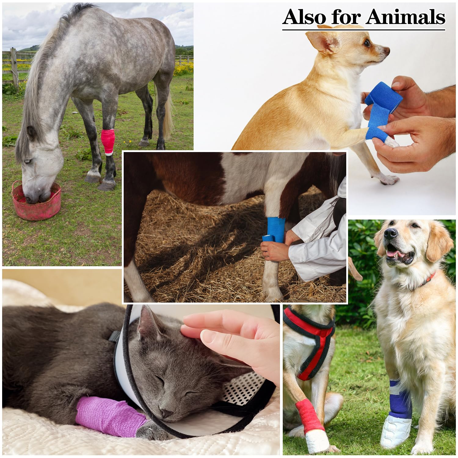 6pcs 2in Self Adhesive Bandage Wraps, Vet Wraps, 12 Colors to Choose, 5 Yard Self Adherent Wraps for Sports, Wrist, Ankle and Swelling