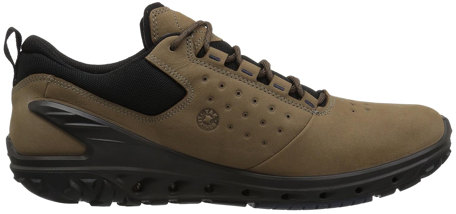 ECCO Mens Biom Venture Leather Goretex Tie Hiking Shoe