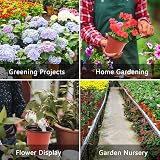 Augshy 40 Pcs 4 Inch Plastic Plant Nursery Pots Red for Seedling Transplanting view 7