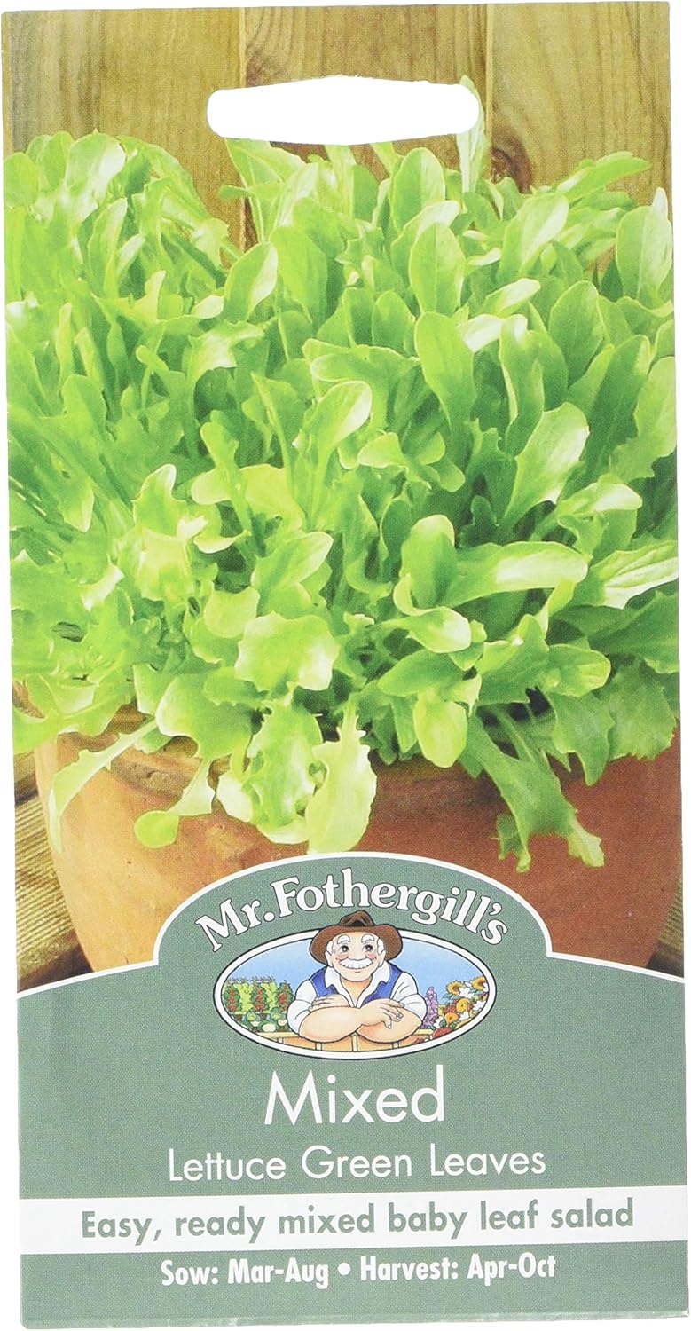 Mr. Fothergill's Salad Leaves Lettuce Mixed Seeds Green Amazon.co.uk