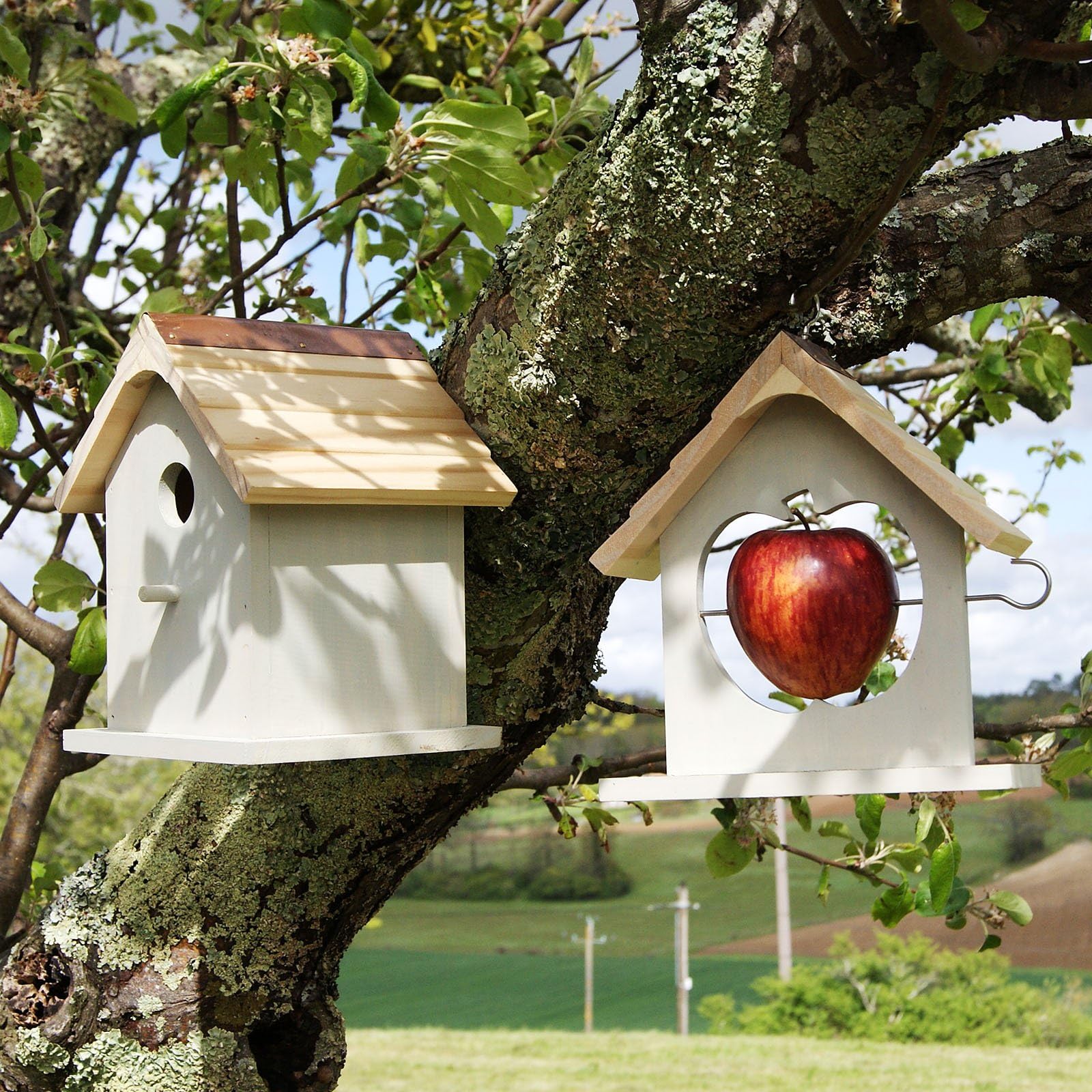 Bird box Bird Feeder set, Wooden Wild Small Wood Nesting Box Apple Feeder Set, Gift Boxed Ideal Present