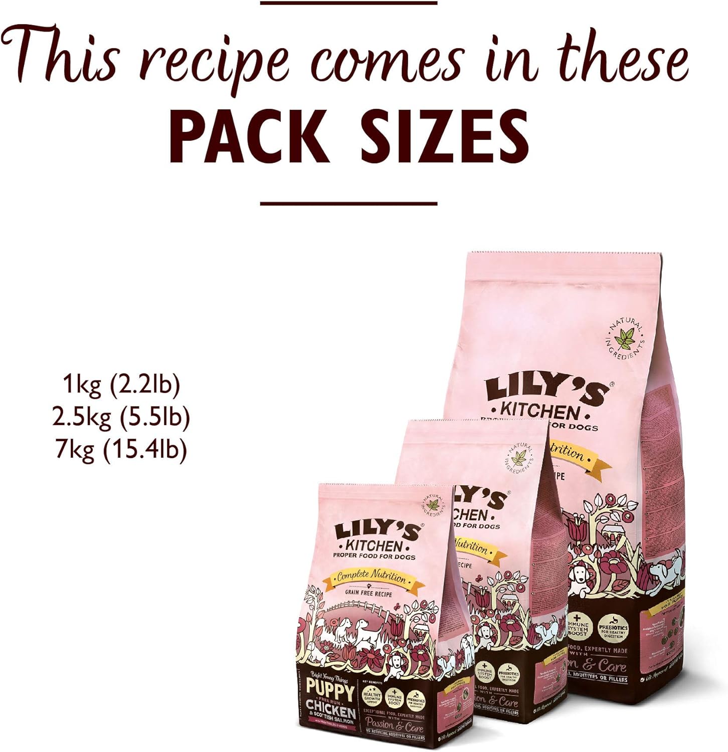 lily's kitchen puppy chicken & salmon