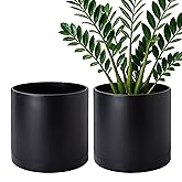 D'vine Dev 2 Pack 10 Inch Modern Plastic Plant Pots, Cylindrical Garden Planters for Plants with Drainage Holes and Saucers, Black, 74-Y-N-1