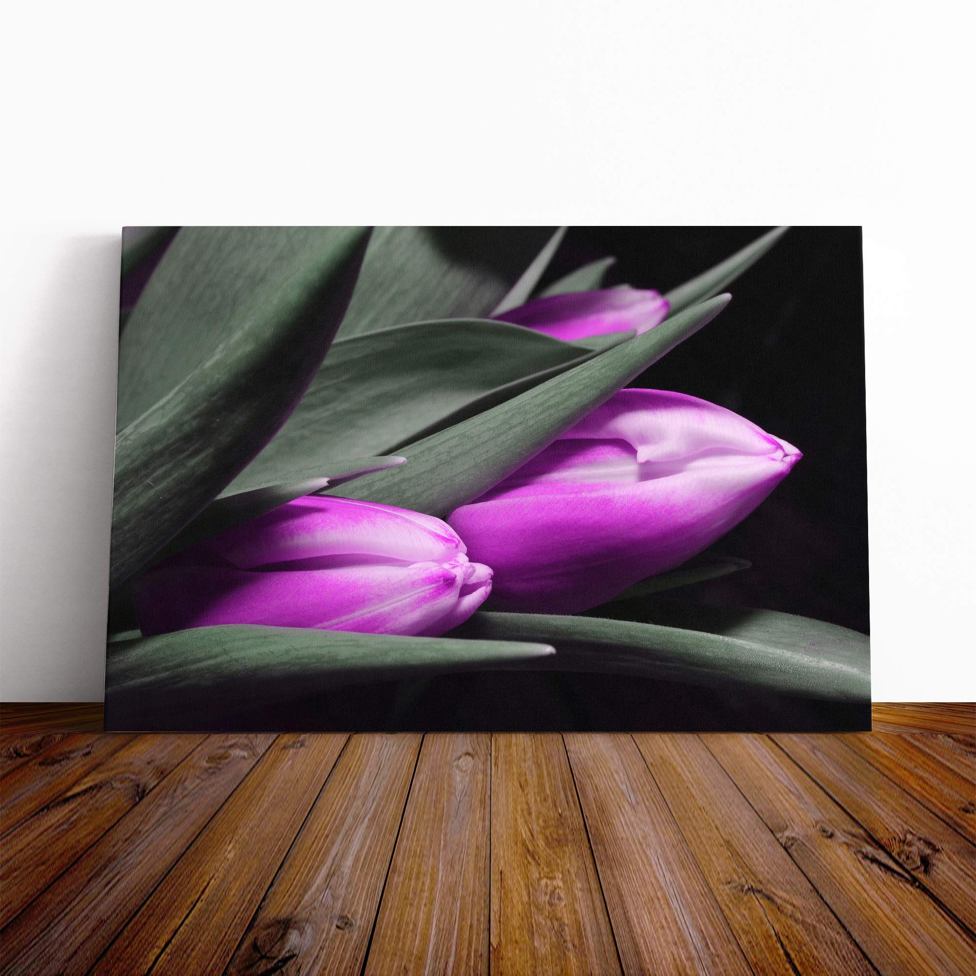 Flower Pink Purple Tulip (3) Canvas Print | Gallery Wrapped 30mm Frame Wall Art | 20x14 inches | Ready to Hang | Contemporary Floral Picture | Living Room Bedroom Lounge Office