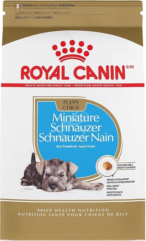 royal schnauzer