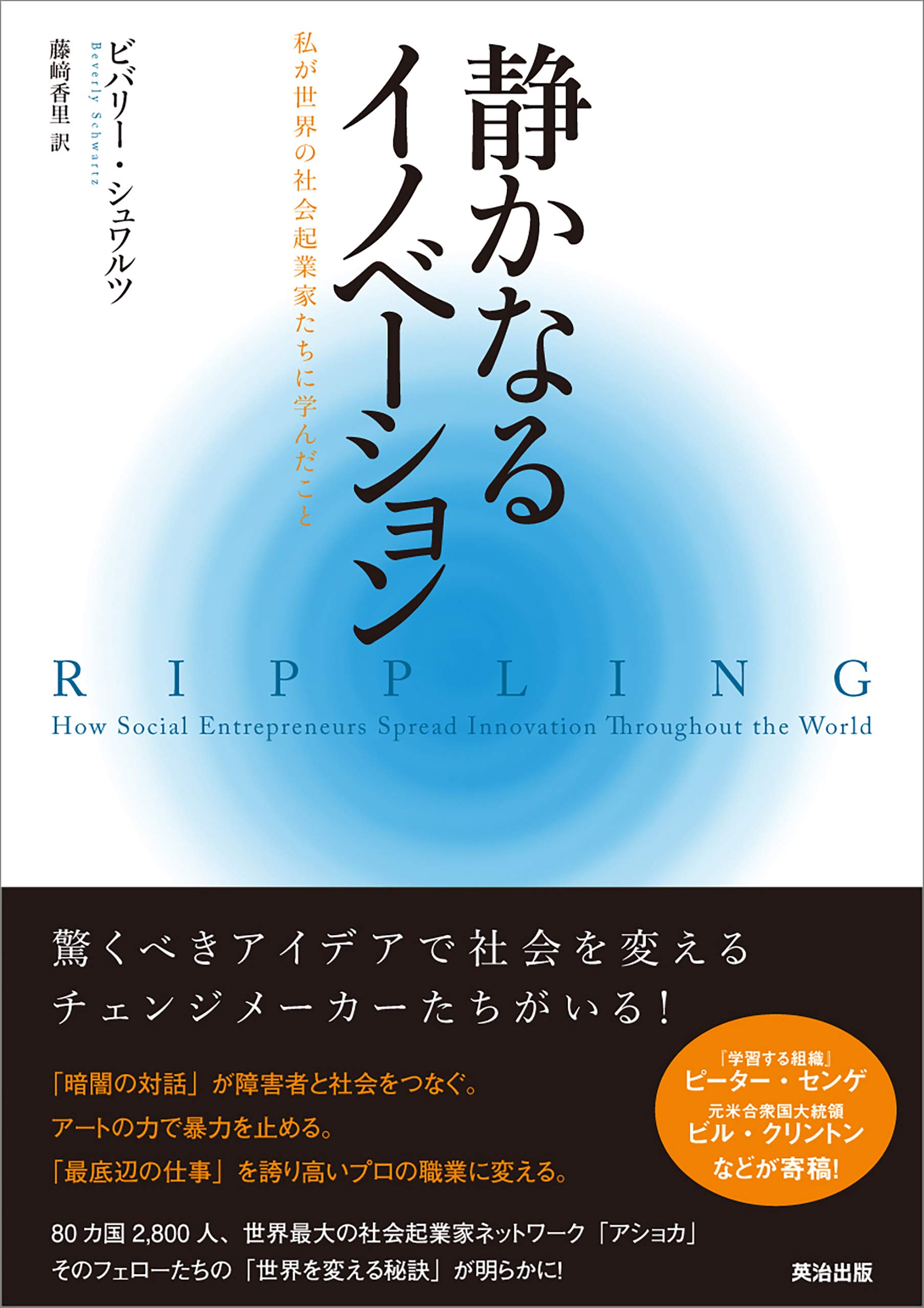 静かなるイノベーション 私が世界の社会起業家たちに学んだこと ビバリー シュワルツ 藤﨑香里 本 通販 Amazon