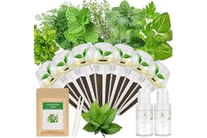 TITANIX Gourmet Herb Seed Pod Kit for AeroGarden, idoo, Ahopegarden, MUFGA with Basil, Parsley, Thyme, Mint, Cilantro, Dill, Oregano - Hydroponics Supplies for Most Brand (7-pod)