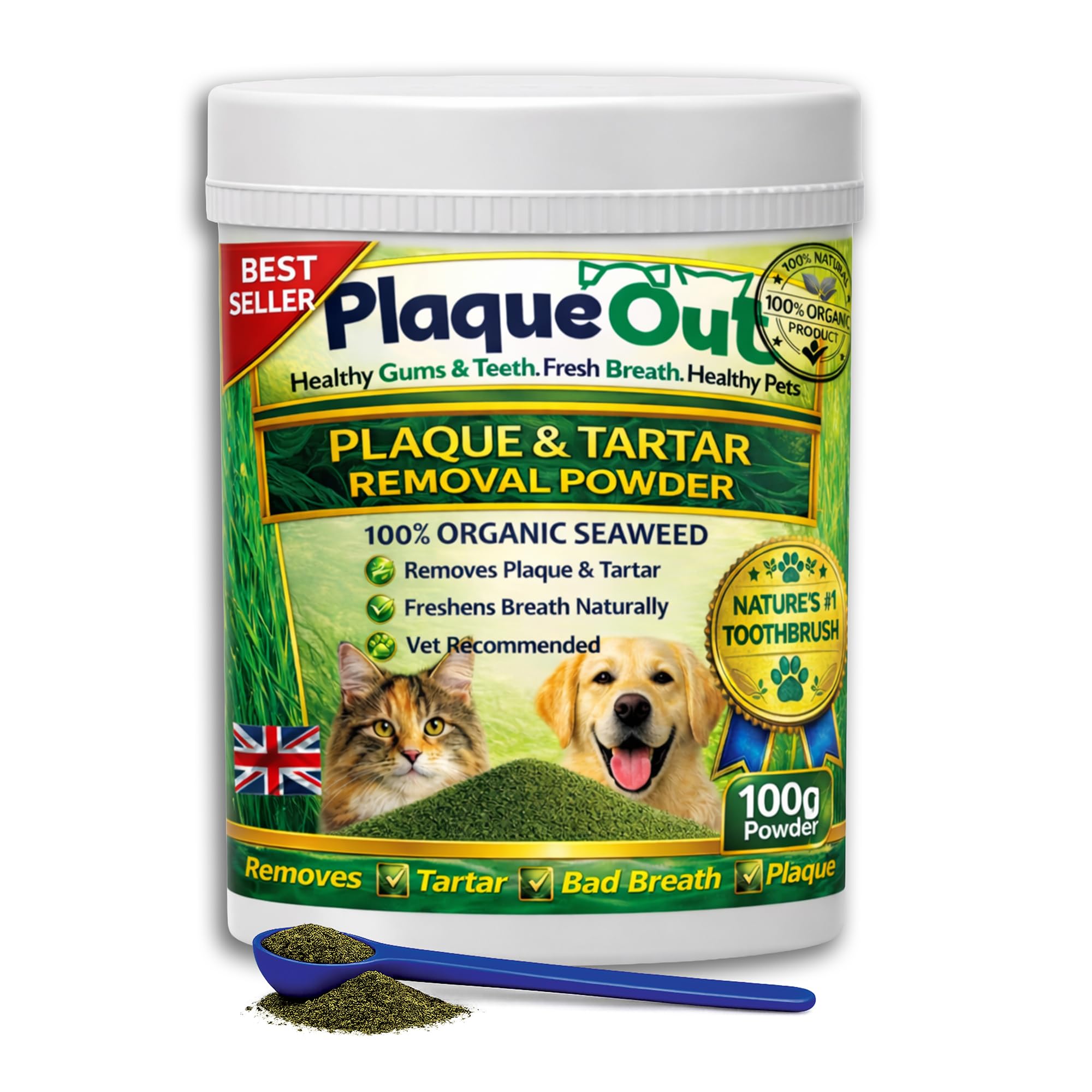 PLAQUE OUT 100g Pot - Plaque Off Remover - 100% Natural and Organic Seaweed Powder for Dogs & Cats - Dog Teeth Cleaning, Plaque Removal, Pet Dental Care, Bad Breath, Gum Care and Tartar Control