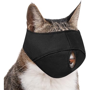 Amazon.com New Releases: The best-selling new & future releases in Cat  Grooming Supplies