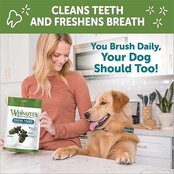 WHIMZEES WELLNESS ALLIGATOR DOG DENTAL TREAT, CHEWS, FRESHENS BREATH, LARGE SIZE, 12.7 OZ BAG, 6 COUNT