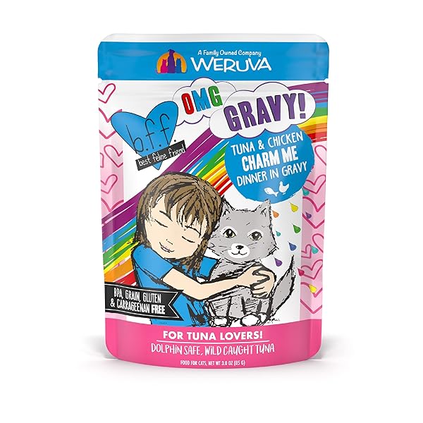 WERUVA B.F.F. OMG – BEST FELINE FRIEND OH MY GRAVY! TUNA & CHICKEN CHARM ME WITH TUNA & CHICKEN IN GRAVY CAT FOOD, 3OZ POUCH (PACK OF 12)