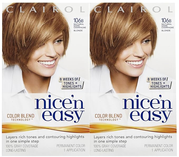 34+ Champagne Blonde Highlights On Blonde Hair Pictures