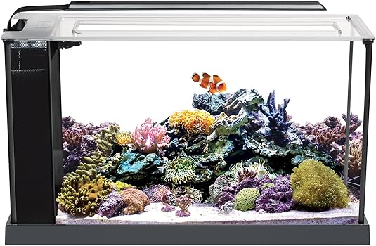 Fluval Evo V 5-Gallon Nano Tank