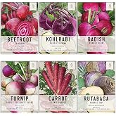 Seed Needs Root Vegetable Seeds Variety Pack of 6 Beet Turnip Radish &amp; More