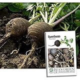 Black Spanish Round Radish Seeds for