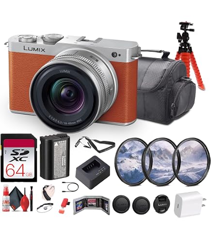Amazon.com : Panasonic LUMIX S9 Camera with 28-200mm Lens