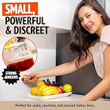 Super Ninja Fruit Fly Trap 2 Pack – Indoor Killer, Safe for Kids & Pets view 4