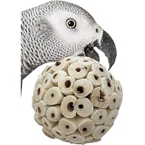 Wesco PC 20021 W Yucca Parrot Chips – 20-Piece All-Natural Chew Toy For Birds, Biodegradable Foot Toys