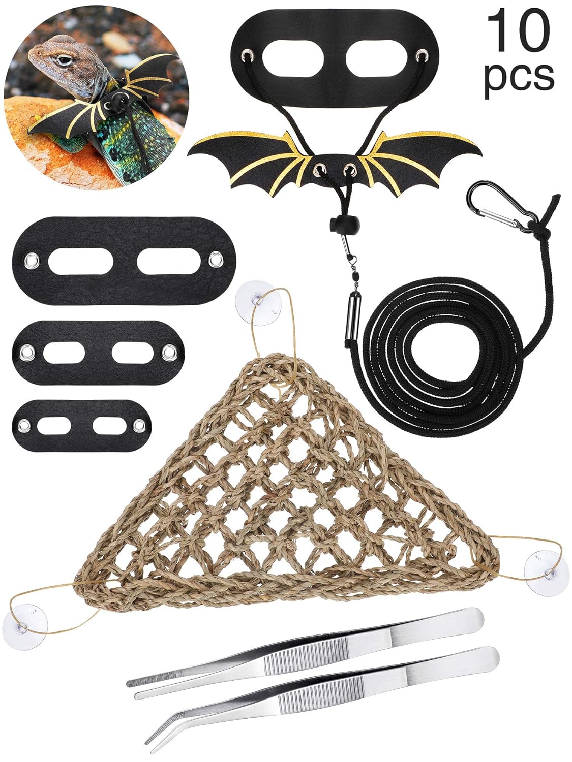 Best Reptile Hammock Bearded Dragon