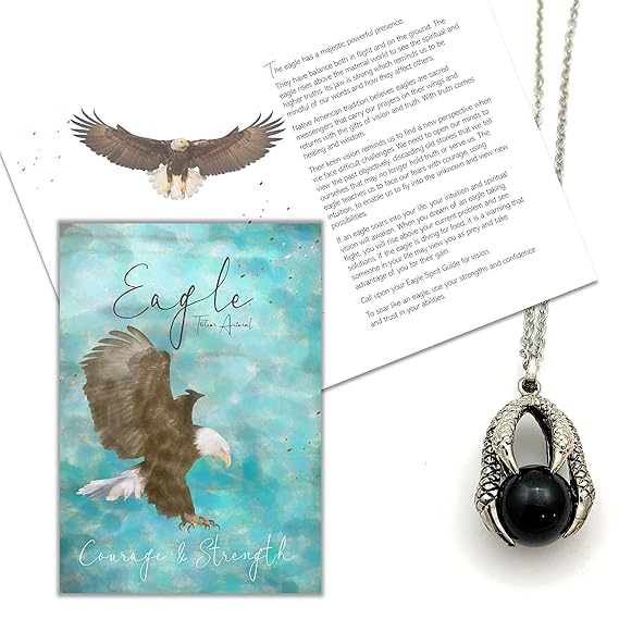 Smiling Wisdom Eagle Claw Totem Animal Spirit Gift Set Dreams Within Your Grasp Card Stainless S Eagle Claw Necklace Ornament For Man W Courage