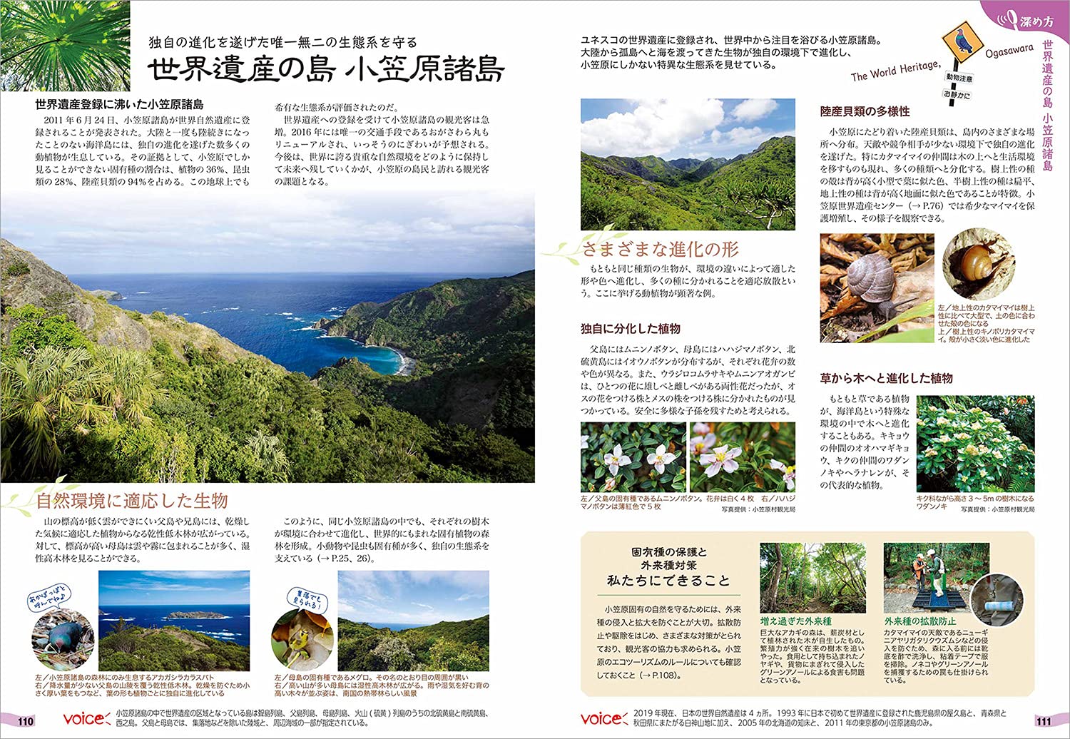08 地球の歩き方japan 島旅 小笠原 父島 母島 Amazon Com Books