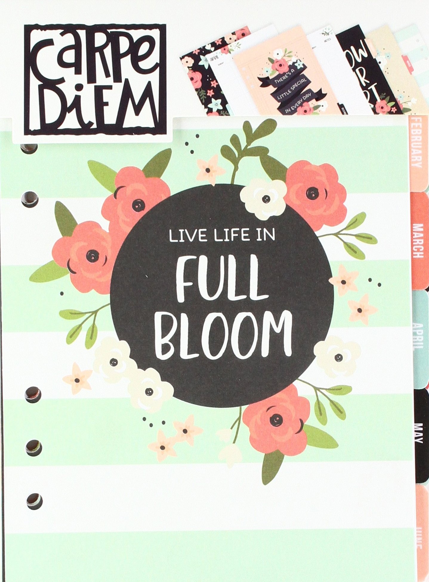 Simple Stories 2018 Carpe Diem A5 Bloom Monthly Planner Inserts
