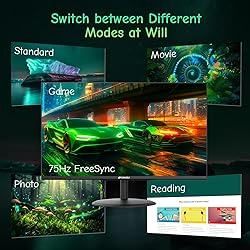 SANSUI Computer Monitor 24 inch Eye Care 1080P