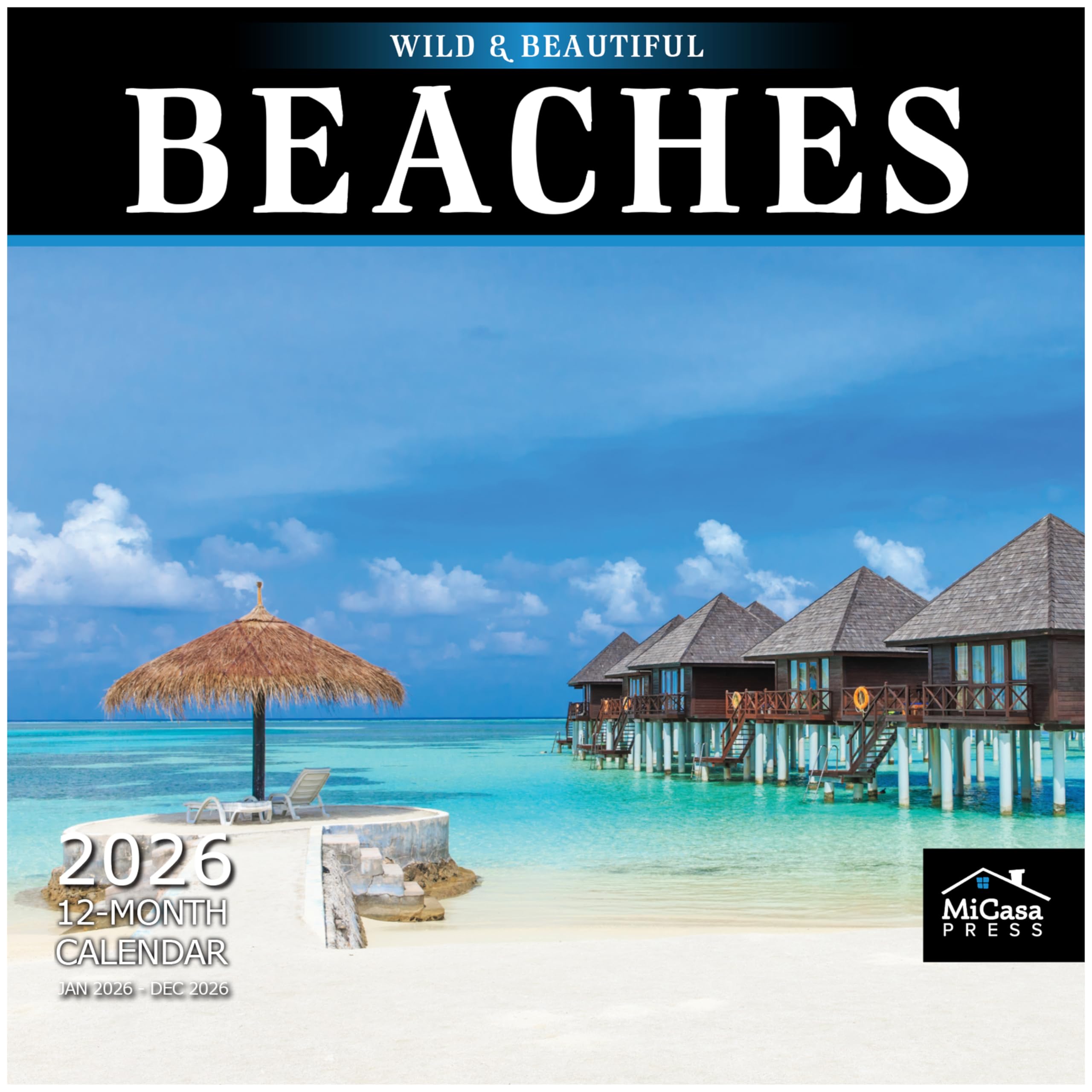 MICASA PRESS Wild Beautiful New 2026 01 Beaches 2026 SDGs 813EU9p0FuL 