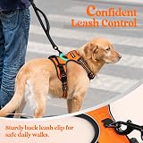 rabbitgoo Dog Harness Medium No Pull with 2 Leash Clips Reflective Orange M view 7