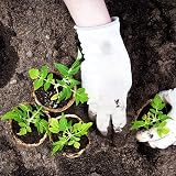 BIPY 50x 8cm Round Biodegradable Seed Pots for Seedlings Plant Labels Dibber view 7