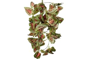 Fluker's Repta-Vines - Red Coleus - 6", Black