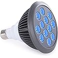 hooga Blue Light Therapy Bulb Power Cord Included. 415 nm Wavelength. 12 LEDs. High Irradiance, Treatment for Acne and Sun Damage. Can Improve Skin Texture and Tigthen Skin.