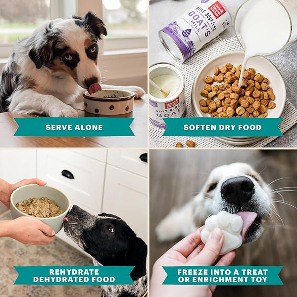 THE HONEST KITCHEN HUMAN GRADE INSTANT GOAT’S MILK WITH PROBIOTICS FOR DOGS AND CATS, 5.2 OUNCES