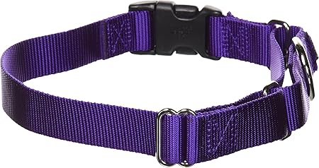 mini teddy bear dogs