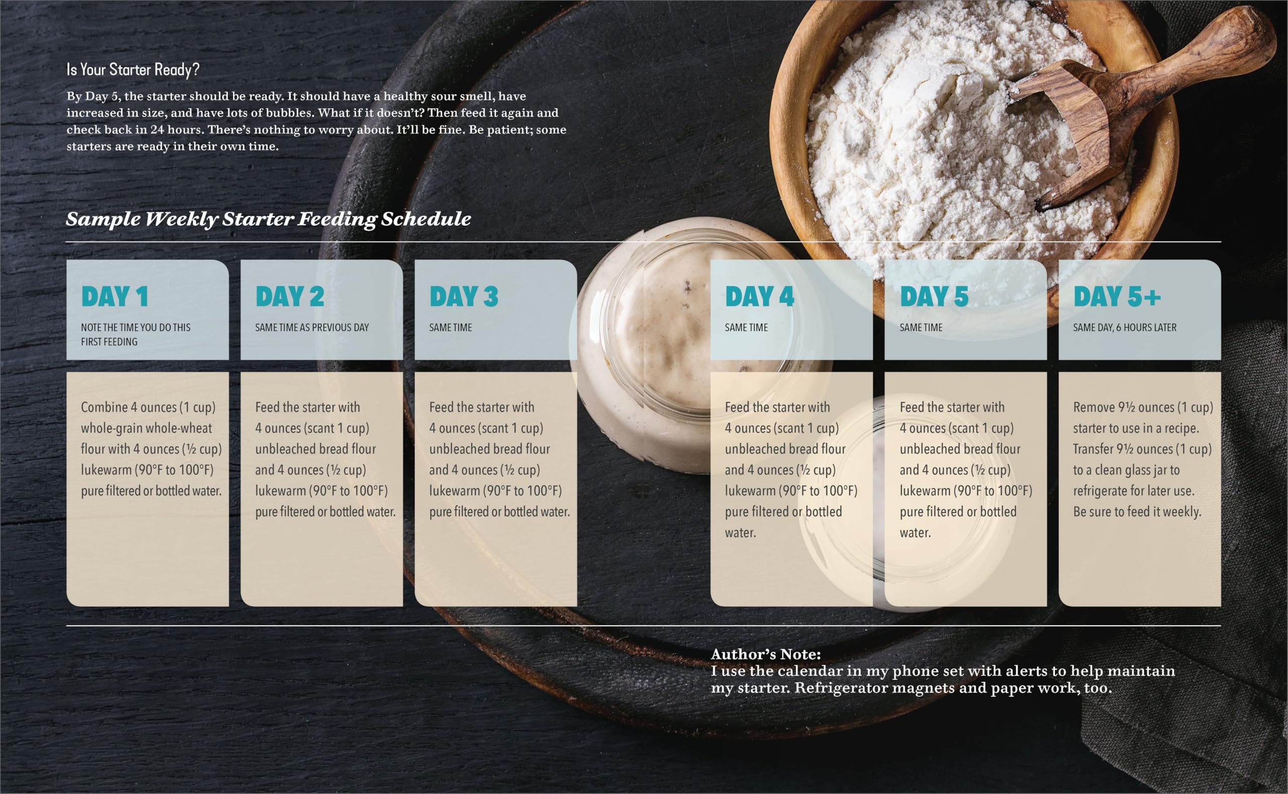Starter Sourdough: The Step-by-Step Guide to Sourdough Starters, Baking Loaves, Baguettes, Pancakes, and More