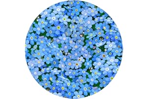 ANDRÉAS Andreas Silicone Non-Slip 6.25" Jar Opener, Easy Lid Opener, Made with Silicone and Fabric, Dishwasher Safe, Garlic Peeler, Forget Me Nots, 6.25 inch