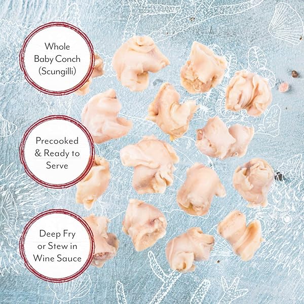ROLAND FOODS WHOLE BABY CONCH IN WATER, SPECIALTY IMPORTED FOOD, 15-OUNCE CAN