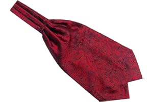 Elfeves Men's Paisley Floral 100% Silk Cravat Ties Hademade Formal Jacquard Woven Ascot