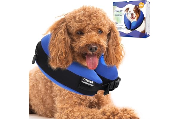 dog funnel around neck