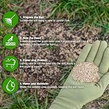 GroundMaster Ground Master Premium Lawn Grass Seed 10KG Hard Wearing view 4