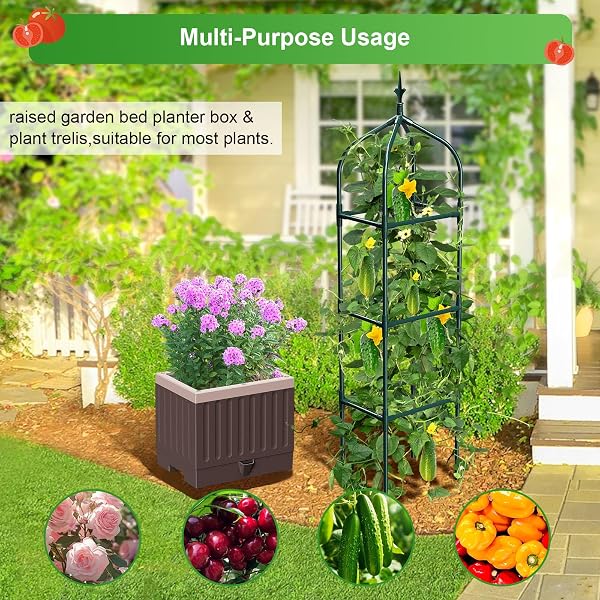 MQHUAYU RAISED GARDEN BED PLANTER BOXES WITH TRELLIS,1PCS 70.9″ SELF-WATERING TOMATO PLANTER BOXES WITH TRELLIS FOR CLIMBING VEGETABLES PLANTS FLOWERS TOMATO,USE FOR INDOOR OUTDOOR (BROWN)