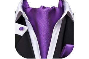 Dubulle Paisley Floral Ascot Tie for Men Self Tie Mens Cravat Tie and Pocket Square Cufflinks Wedding