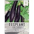 Seed Needs Long Purple Eggplant Seeds for Planting - Non-GMO, Heirloom and Untreated - Organically Grow a Home Grown Vegetable Garden Outdoors (1 Pack)