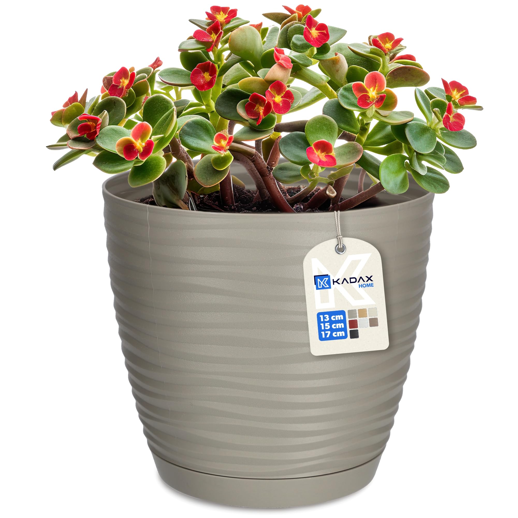 KADAX Flower Pot, Plastic Plant Pot with Saucer, Indoor Planter for Houseplants, Herbs, Lightweight Flowerpot for Living Room, Office (⌀15 cm, Grey)
