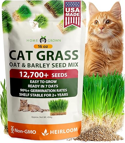 Amazon.com : Cat Grass Seeds for Planting - 5 Pounds - Nutritious