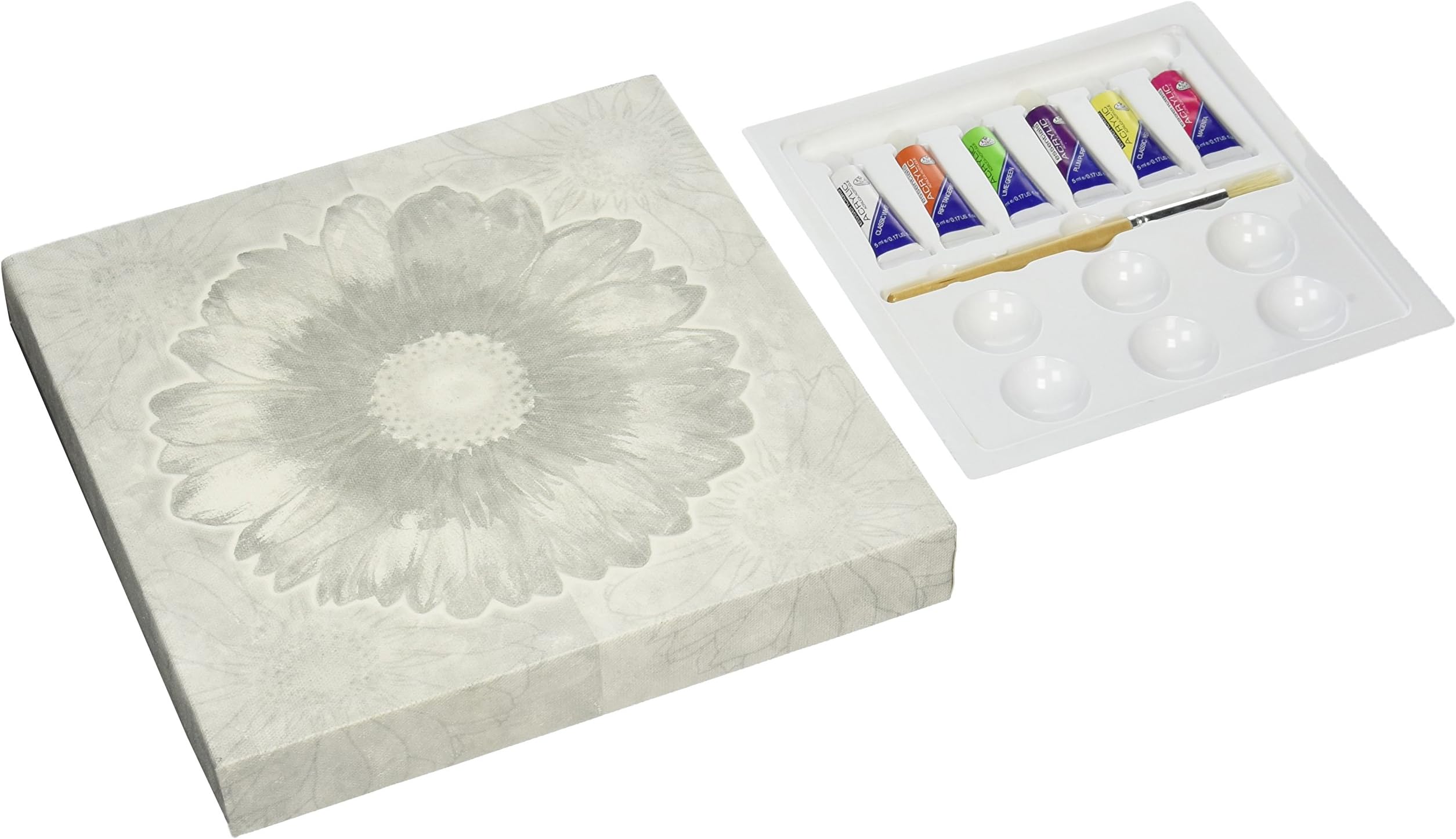 jbr2048 Canvas Wall Art-Gerber Daisy/Fun Flower