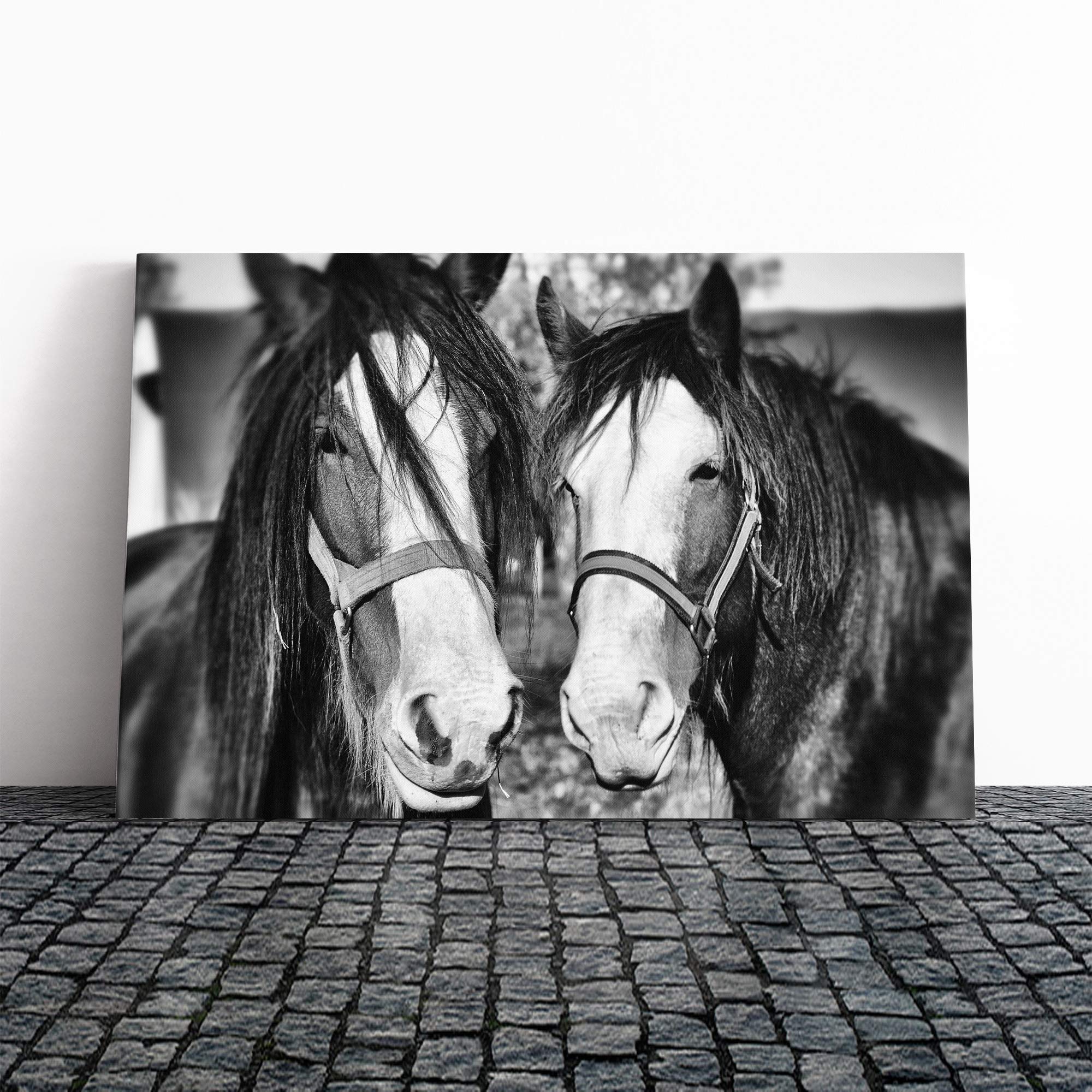 Two Horses Vol.2 Canvas Print | Gallery Wrapped 30mm Frame Wall Art | 20x14 inches | Ready to Hang | Modern Animals Picture | Living Room Bedroom Lounge Office