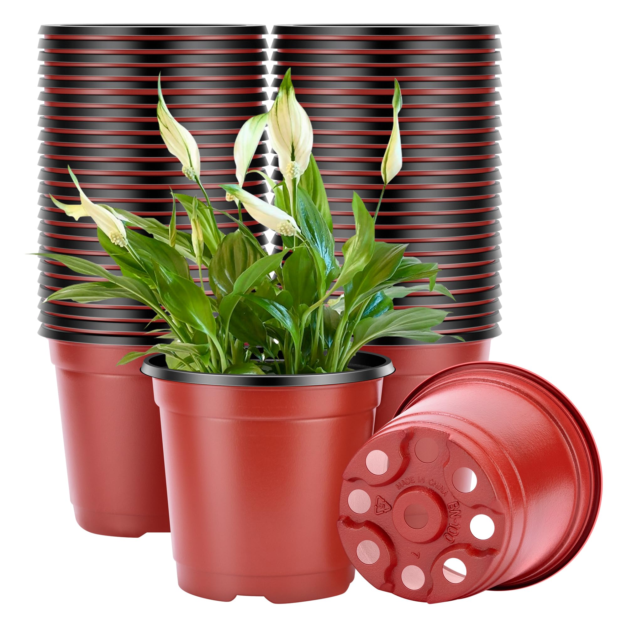 Photo 1 of VIVOSUN 50 Pcs 6 Inch Plastic Plant Nursery Pots, Seed Starting Pot, Flower Plant Container for Seedlings, Cuttings, Transplanting