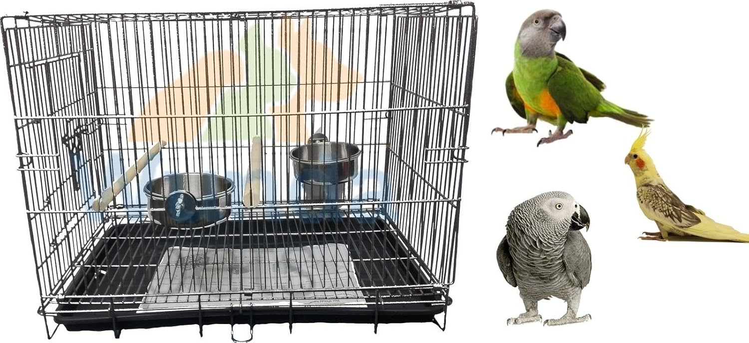 cockatiel transport cage